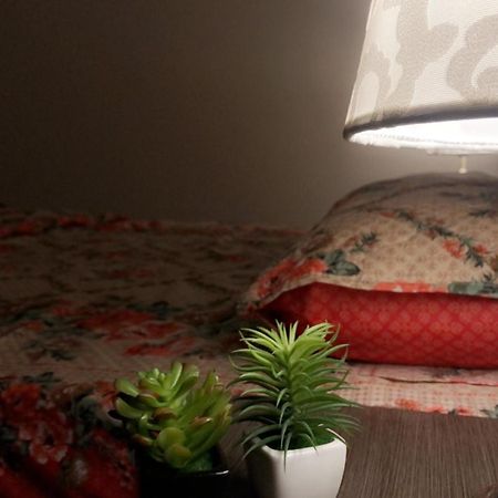 Fully Serviced Holiday Home Near Lyallpur Galleria Faisalabad Ngoại thất bức ảnh